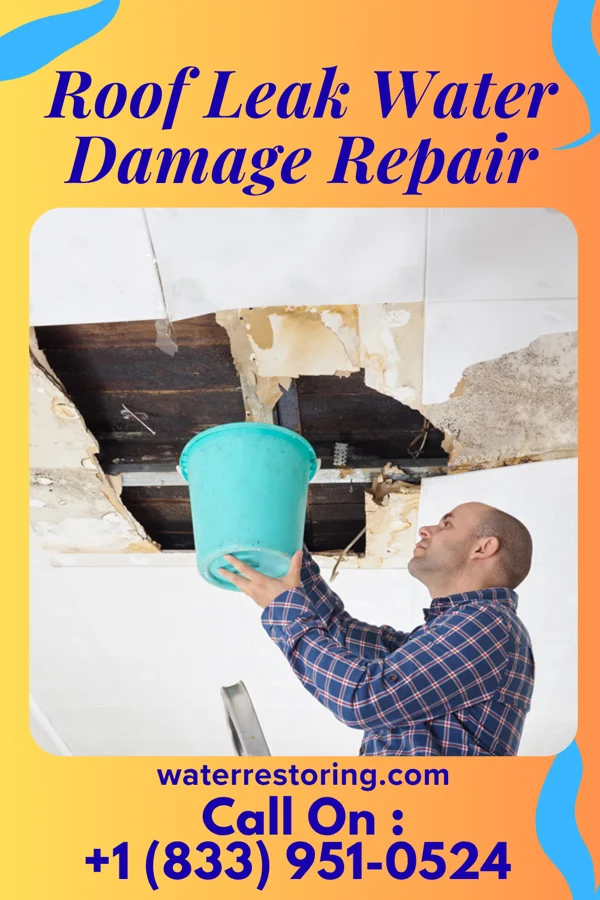 Roof Leak Water Damage Repair in Dickeyville, WI
