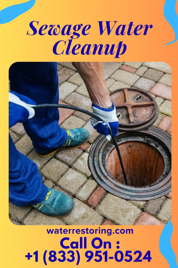 Sewage Water Cleanup in Dickeyville, WI